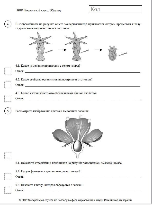 Гдз по биологии 6 класс ВПР С ответами. Ответы по ВПР по биологии за шестой класс. Шпаргалки для ВПР по биологии 6 класс. ВПР 6 класс биология задания.