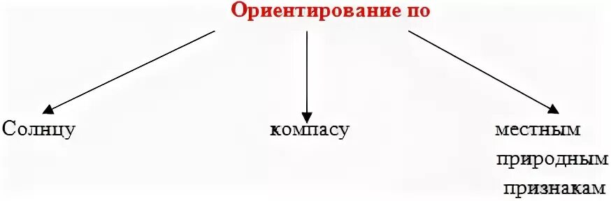 Рабочий лист по теме ориентирование на местности. Кластер ориентирование на местности. кластер на тему ориентирование. кластер по теме ориентирование на местности 5 класс. кластер по географии 5 класс ориентирование на местности.