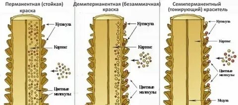 влияние окрашивания волос