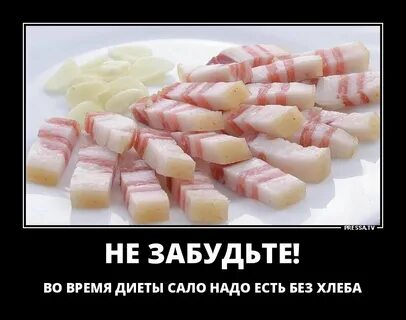 Диета на сале
