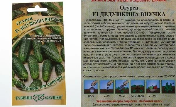 Огурцы сорт секрет. Огурцы сорт зеленка. Партенокарпические огурцы гибрид f1. Огурец секрет f1. Ланкастер f1 огурец.