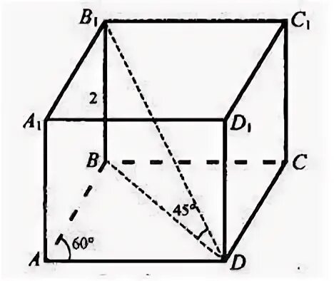 Правильная четырехугольная призма abcda1b1c1d. Сечение призмы призмы abcda1b1c1d1. Abcda1b1c1d1 правильная призма ab 6. Четырёхугольная призма abcda1b1c1d1. В прямоугольном параллелепипеде abcda1b1c1d1.