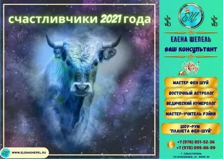 Хозяин 2021 года