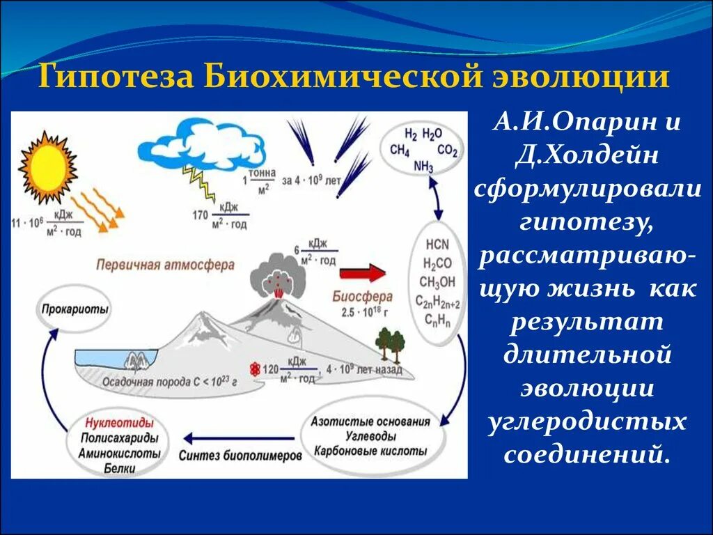 Гипотезы возникновения жизни гипотеза биохимической эволюции. Биохимическая гипотеза Опарина Холдейна. Гипотеза биохимическая Эволюция Опарин, Холдей. Биохимическая Эволюция Опарина Холдейна.