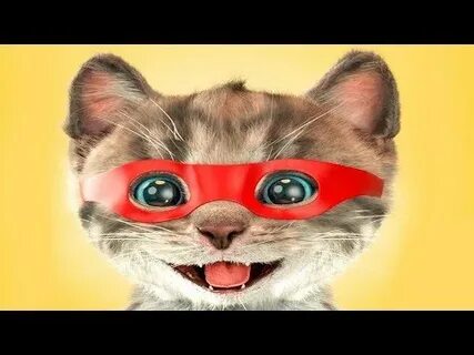 Включи коты в ютубе