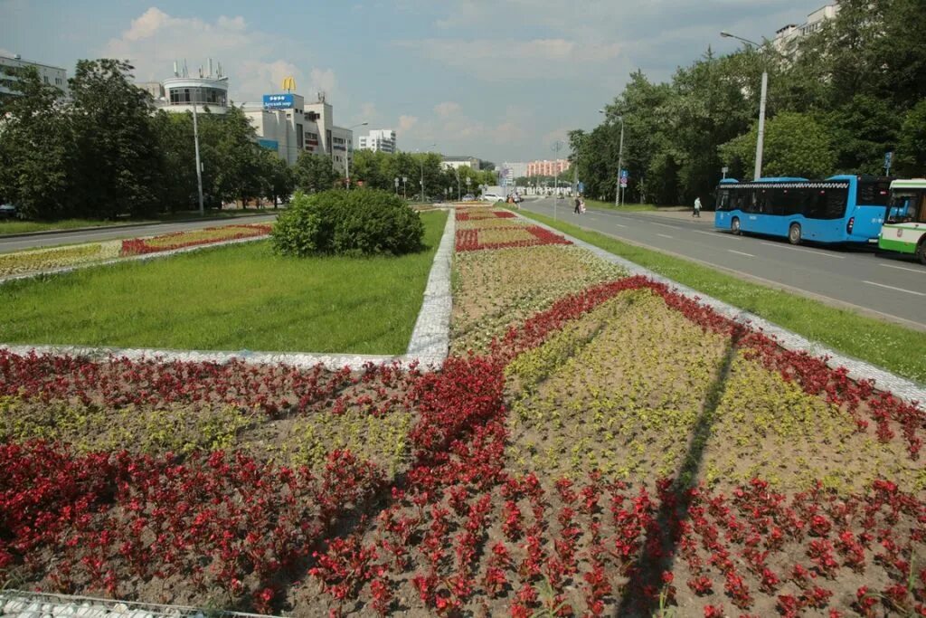 Магазин комнатных цветов в южном бутово. Флорамаркт. Растения в бутово. Клумба площадь победы калининград. Цветочная 1.