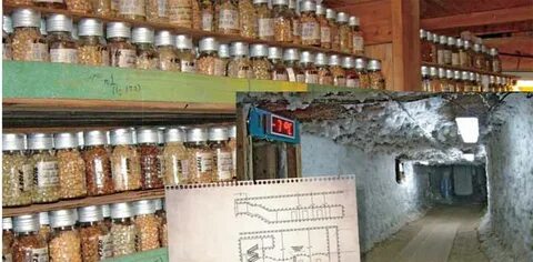 Единственный в мире объект хранения семян