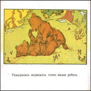 Детская книга медведь