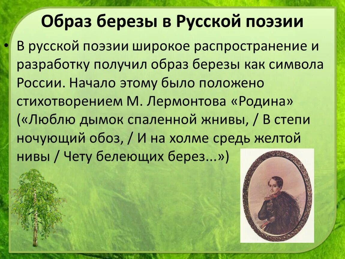 Образ березы в поэзии. Береза в русской литературе. Образ березы в русской поэзии. Образ русской березы в русской литературе. Образ значение в литературе