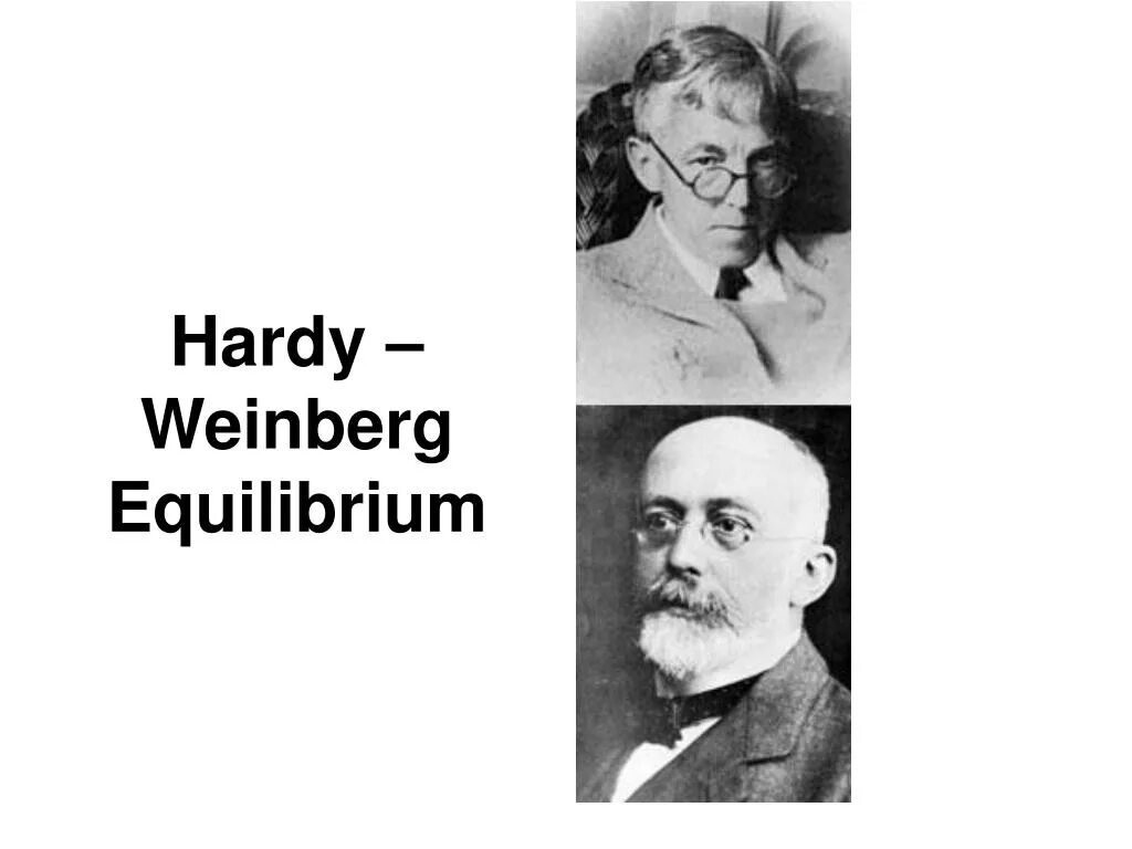 Харди математика. Харди Вайнберга портрет. Харди Вайнберг фото. Харди Вайнберга ученые.