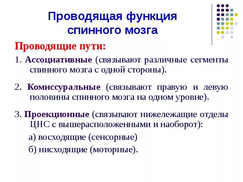 Функции путей спинного мозга. Функции проводящих путей спинного мозга. Проводящая функция спинного мозга. Проводящие пути спинного мозга функции.