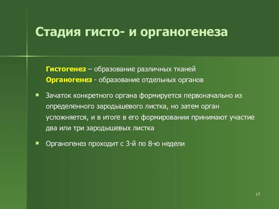 Три стадии характеризующие стадию органогенеза. Гистогенез в эмбриогенезе. Стадия гисто и органогенеза. Гистогенез и органогенез. Фазы гистогенеза и органогенеза.