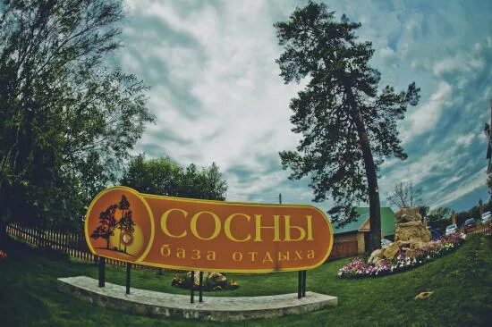Турбаза сосны бузулукский бор. Бузулукский сосновый бор национальный парк. Турбаза сосны бузулукский бор. Санаторий сосны бузулукский бор. Турбаза приволье жигули.