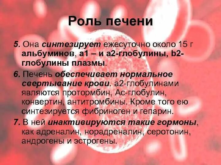 Свертывание крови печень. Свертывающая система крови в печени. Печень и свертываемость крови. Роль печени в процессе свёртывания крови. Роль печени в свертываемости крови.