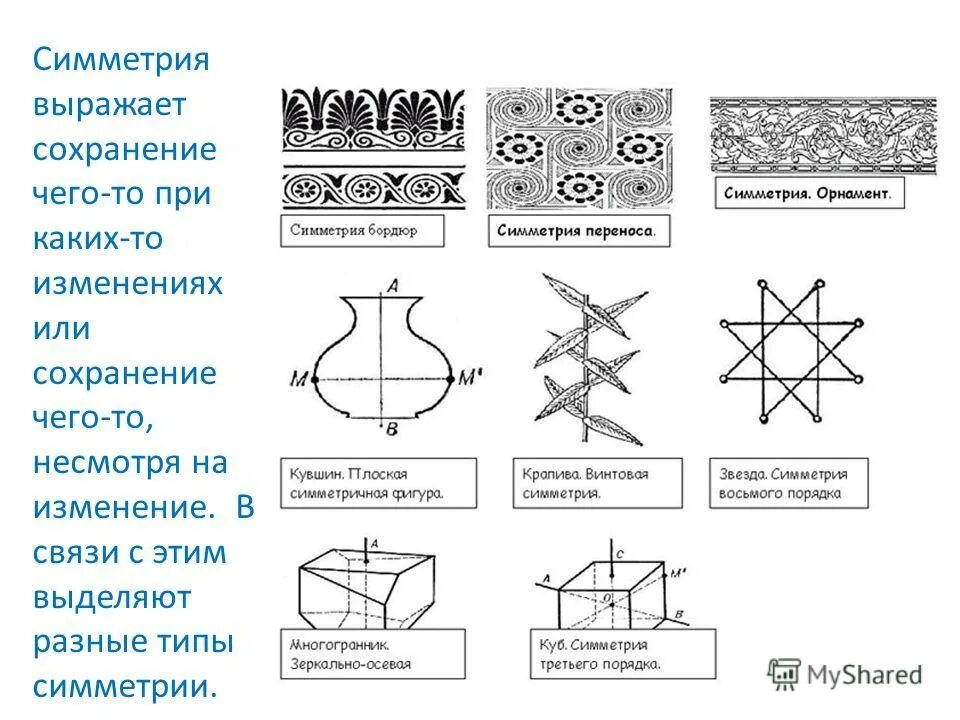 Типпппп симметрии животного. Лучевая и двусторонняя симметрия. Какие виды симметрии бывают. Типы симметрии. Типы симметрии примеры.