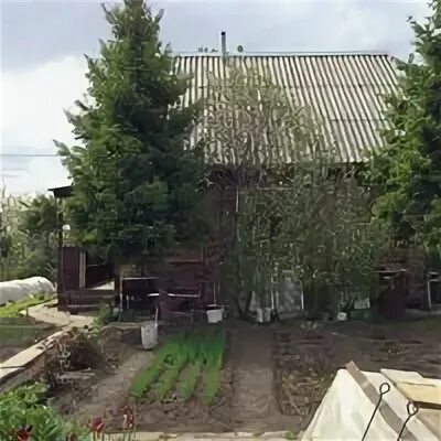 Дача заря 3. Дача заря 3