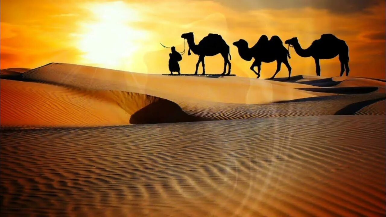 Пустыня Караван Барханы. Красивая пустыня. Солнце в пустыне. Пустыня пейзаж. Караван солнца