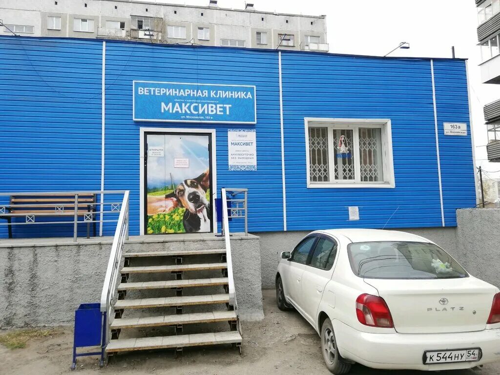 Ул московская 163. Максивет ветеринарная клиника. максивет ветеринарная клиника новосибирск. ветклиника московская 163а. ветеринарная клиника новосибирск обьгэс.