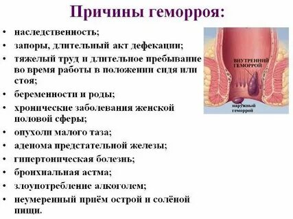 azlea antistia gjhyj ajnj