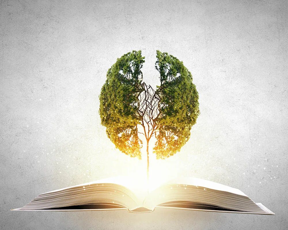 Чтение книг развивает мозг. Знания и саморазвитие. книга знаний. чтение книги саморазвитие. учеба саморазвитие.