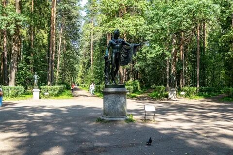 М парк человек