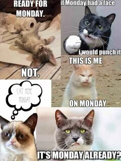 This is monday