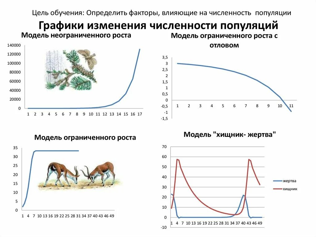 Сезонный Тип динамики численности популяций. Моделирование динамики популяции. Динамика численности популяции хищника и жертвы. Модель хищник жертва математическое моделирование. Причины изменения численности популяции в экосистеме