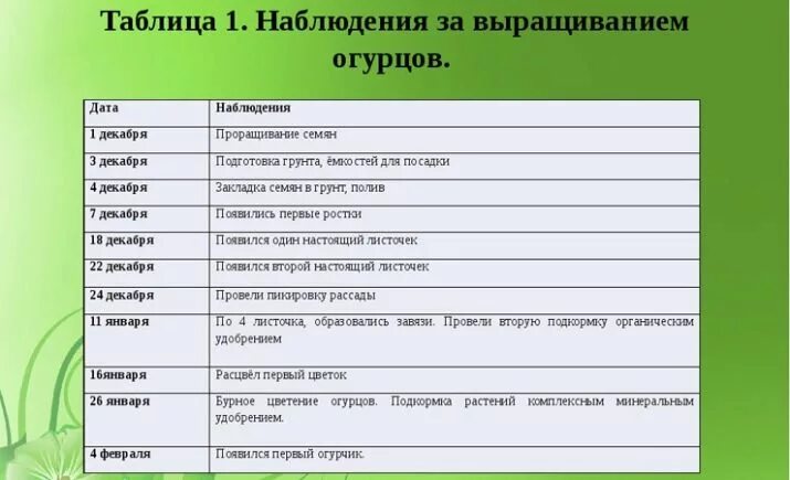 Пункты инструкции по проращиванию семян огурцов. Дневник наблюдений за растениями. Таблица наблюдения за растениями. Дневник наблюдения за Ростен. Наблюдение за развитием растений.