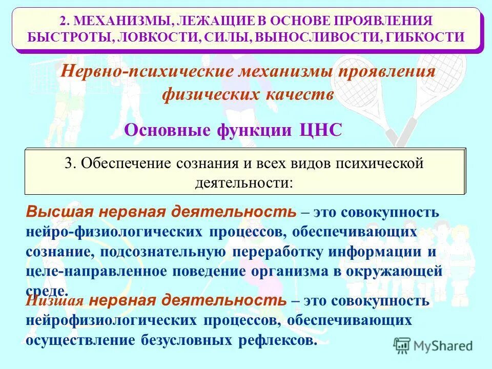 Этапы расообразования. Факторы проявления ловкости. Какой механизм лежит в основе. Кислородная задолженность. Гипотезы происхождения рас.
