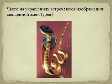 Роль змей