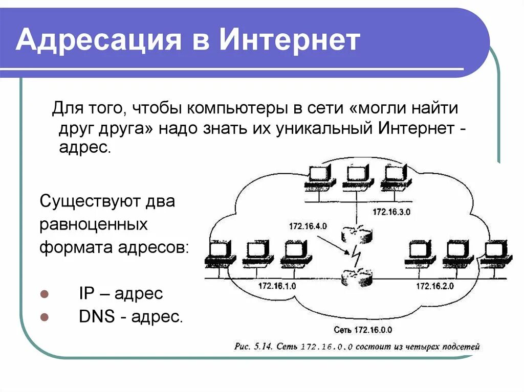 IP адресация в компьютерных сетях. Адресация в локальных сетях. Адресация локальных вычислительных сетей. Адресация в сети Internet. Домен local