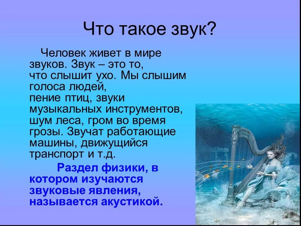 Мы слышим голоса людей пение птиц. Человек в мире звуков. Человек в мире звуков презентация. Звук информация. Доклад на тему звук.