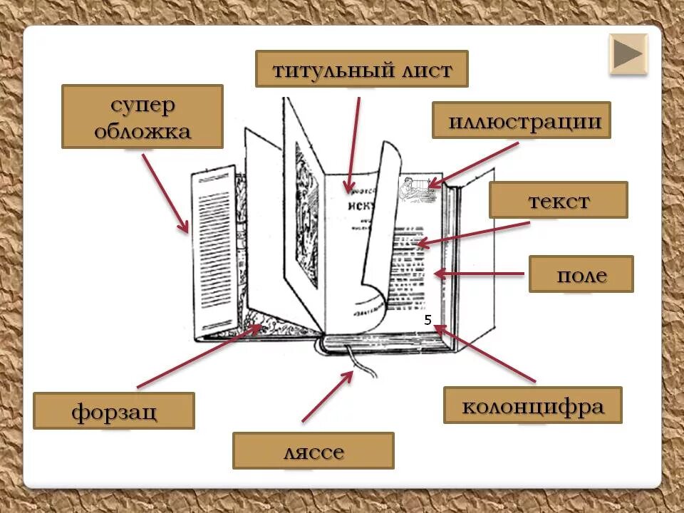 Как правильно называются части книги. Из чего состоит структура книги. Элементы книги. Название частей книги.
