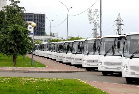 Городские перевозки пассажиров