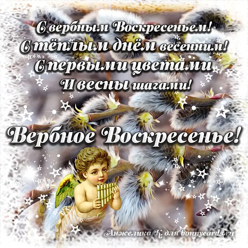 Открытки с вербным воскресеньем католиков. Вербное воскресенье картинки. С Вербным воскресеньем открытки. Поздравить с Вербным воскресеньем. Вербное воскресенье картинки с поздравлениями.