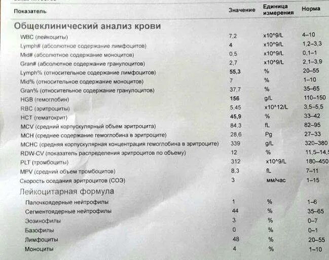 Скорость оседания эритроцитов повышен у ребенка. Gran в анализе крови. Gran в анализе крови у ребенка. Gran в анализе крови норма для женщин. Аббревиатура анализа крови расшифровка.