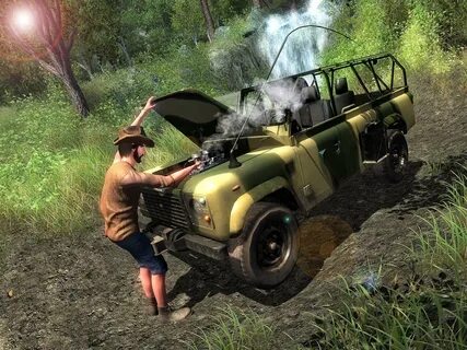 Survival stories