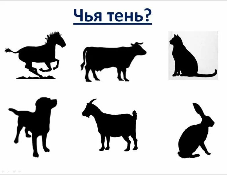 Тени домашних животных. Тени животных задание для детей. Игрушки найди тень для малышей. Тени животных для детей. Силуэтные изображения для дошкольников.