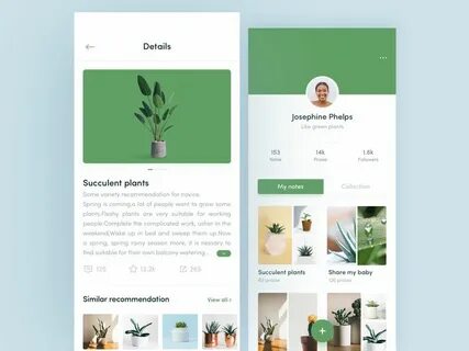 Plant приложение