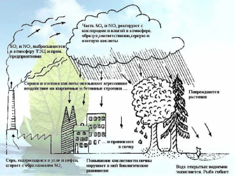 Образование дождя в атмосфере. Схема образования кислотных дождей. Схема возникновения кислотных дождей. Образование обширной зоны кислотных осадков. Образование кислотных дождей.