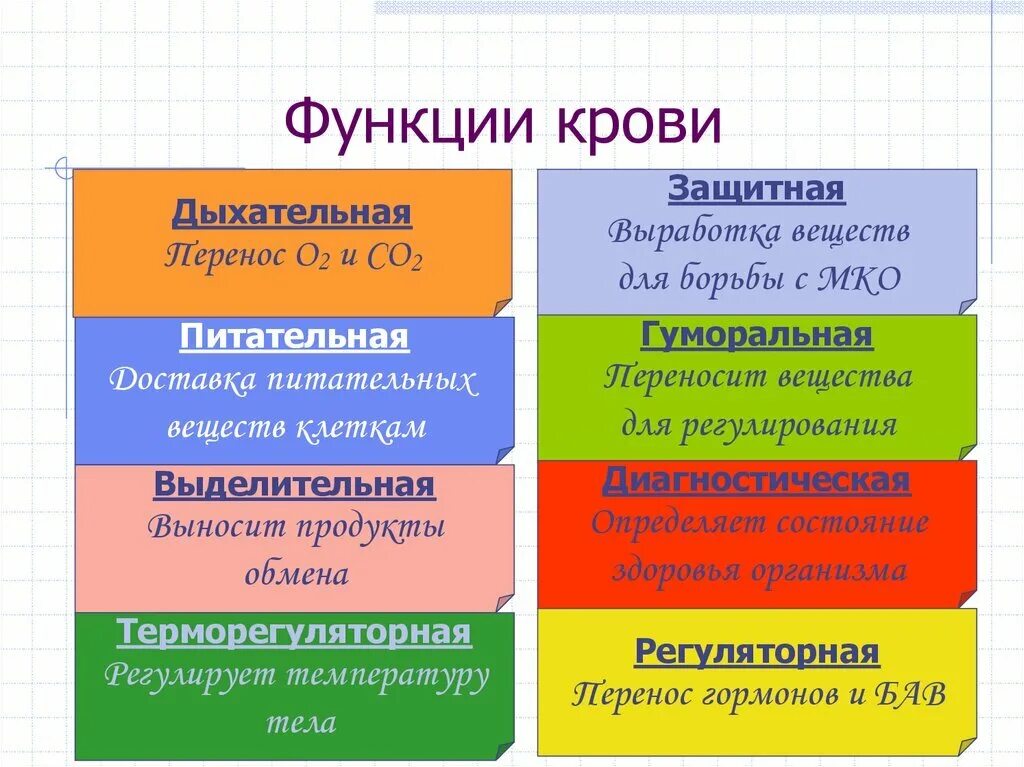 8 функций крови. Перечислите функции крови 8 класс. Функции крови в организме человека 8 класс. Функции крови 8 класс кратко. Перечислите основные функции крови.