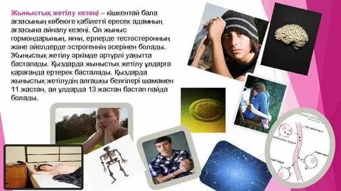 Әйел ер адамның жыныс мүшесін сорғызды (видео)