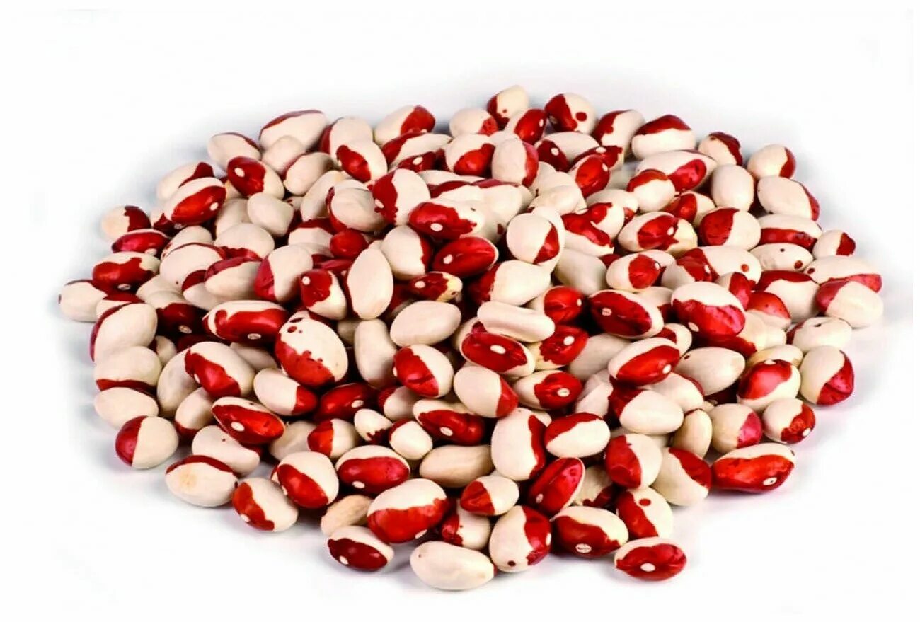 Московская белая зеленостручковая 556. Фасоль лобио спаржевая семена. Фасоль красная. Боб фасоли. Фасоль красная шапочка семена.