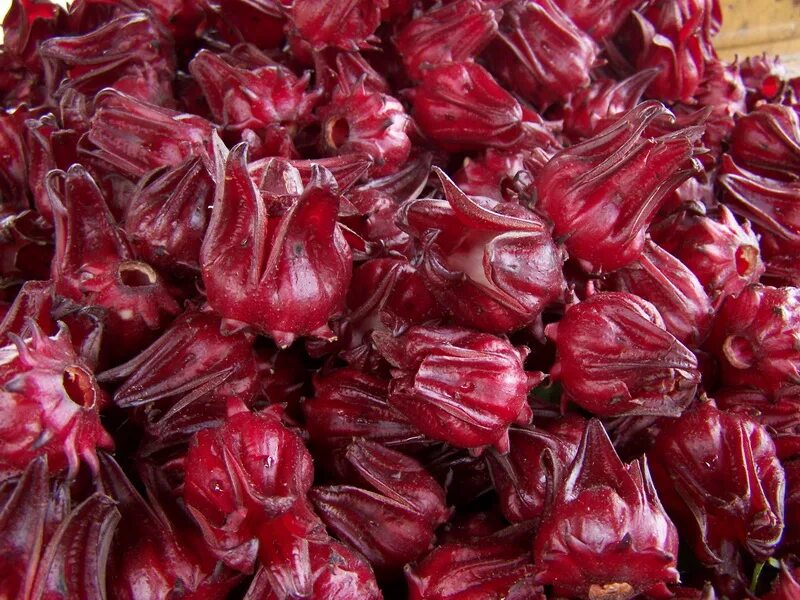 Roselle США. Bioseeds. Hibiscus sabdariffa Flower extract. Jamaican Hibiscus dried Fruit. Bioseeds отзывы