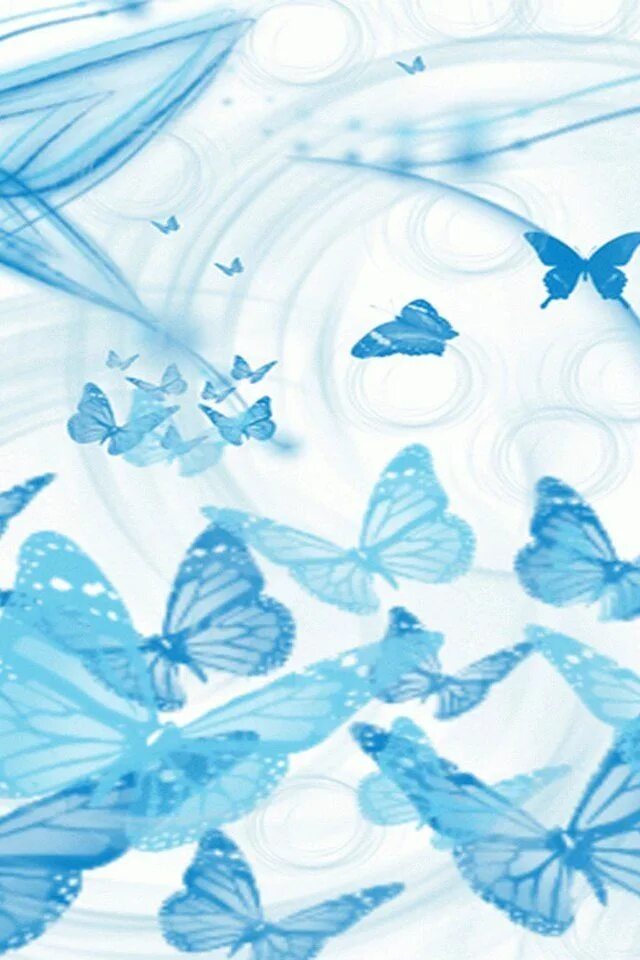 Голубые бабочки фон. Фон бабочки. Голубой фон с бабочками. Светло голубой фон с бабочками. Бабочка на синем фоне.