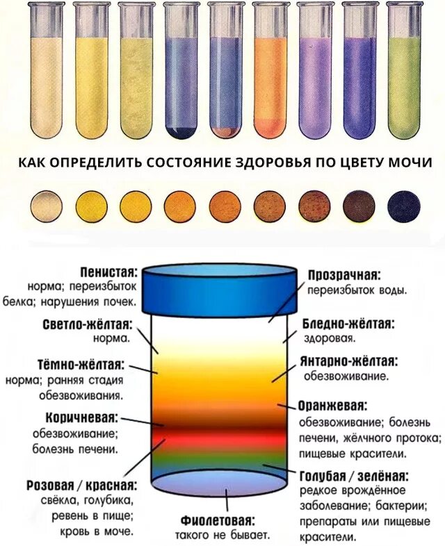 Почему утро мутное