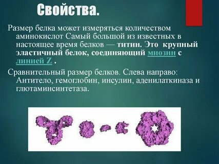 Белок времени