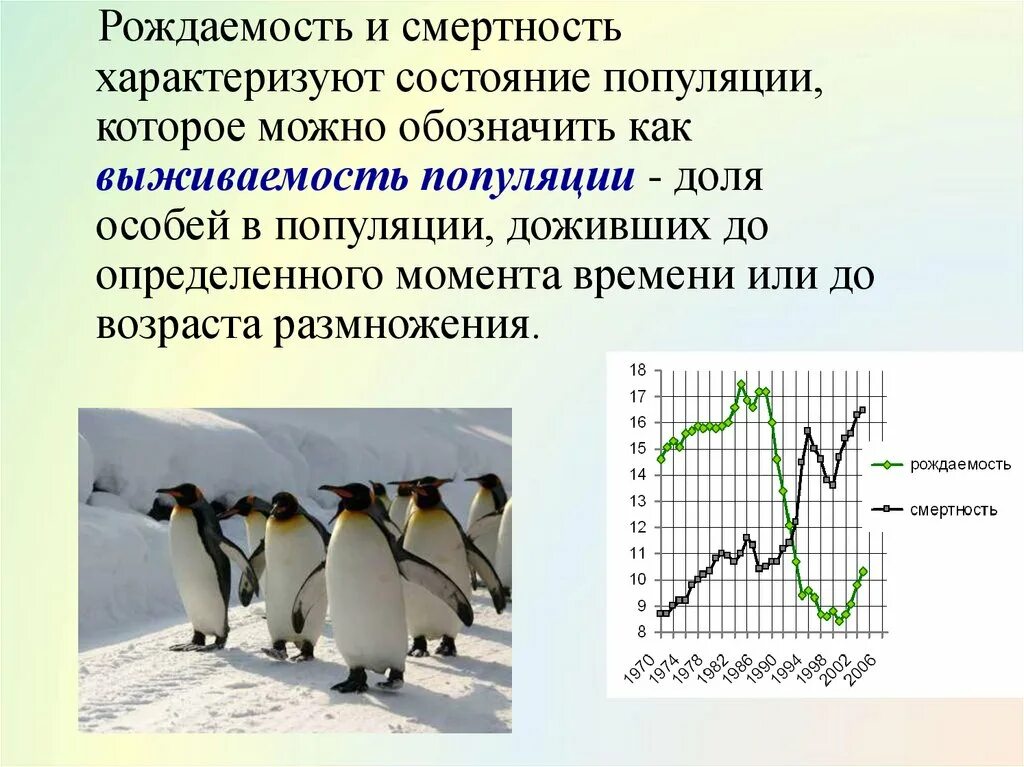 Популяция человека процессы