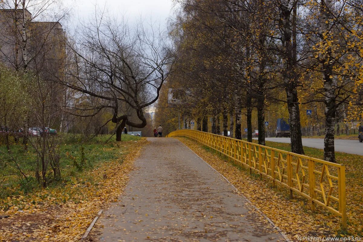 осенняя 13. Park. кусты в парке осенью. снимки природы сделанные на iphone. осенняя 13.