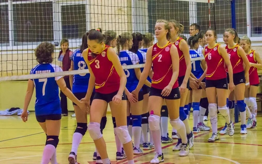 Волейбол новосибирск девушки. Цивс заря новосибирск волейбол. Новосибирская женская волейбольная лига. Кубок дружбы 2021 волейбол новосибирск. Волейбол новосибирск девушки.